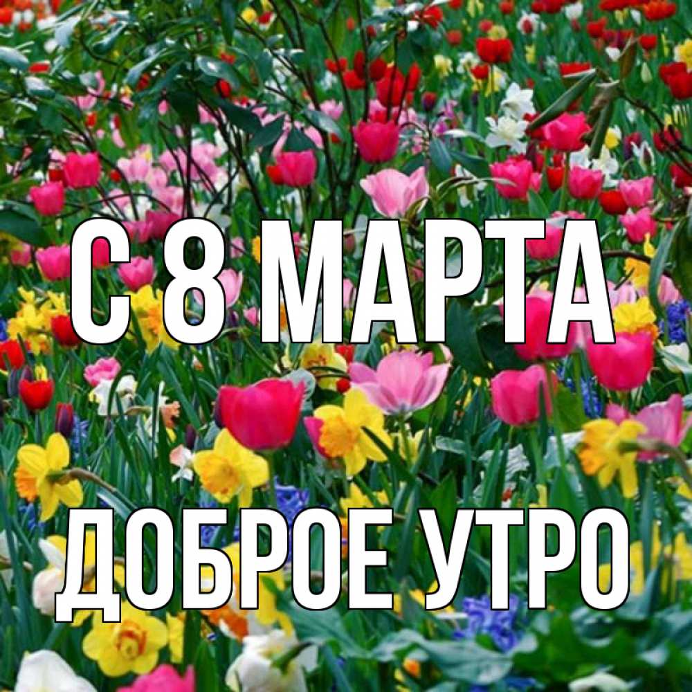 Открытка на каждый день с именем, доброе-утро С 8 МАРТА с международным женским днем поздравления для женщины Прикольная открытка с пожеланием онлайн скачать бесплатно 