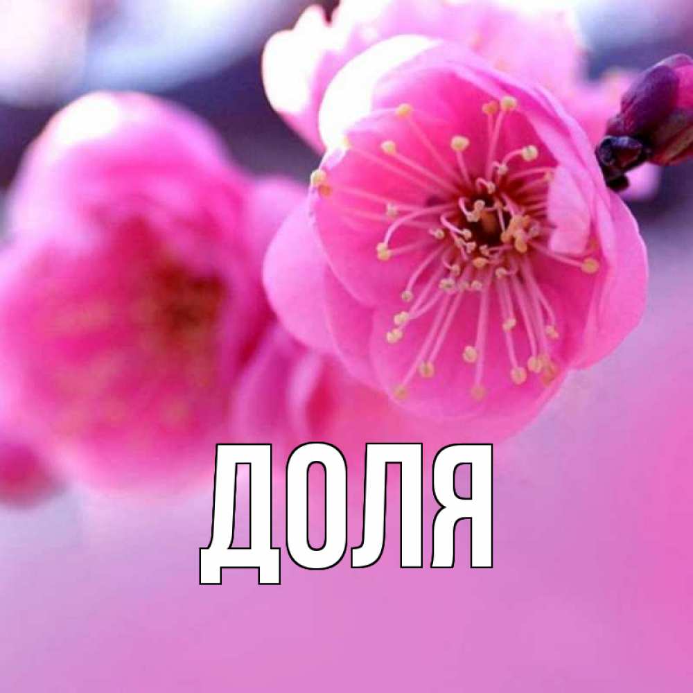 Открытка на каждый день с именем, Доля Главная международный женский день Прикольная открытка с пожеланием онлайн скачать бесплатно 