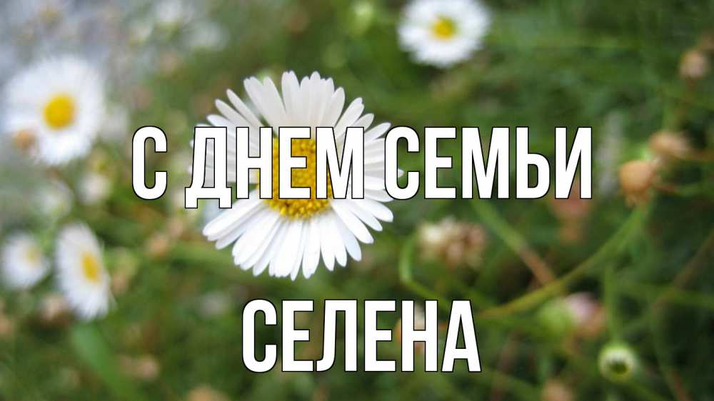 Открытка на каждый день с именем, Селена С днем семьи с днем семьи Прикольная открытка с пожеланием онлайн скачать бесплатно 