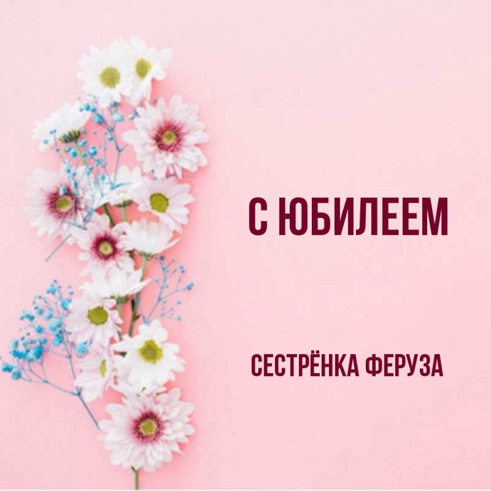 Открытка на каждый день с именем, Сестрёнка-Феруза С юбилеем Родная моя с днем рождения тебя картинка с цветами белыми и голубыми Прикольная открытка с пожеланием онлайн скачать бесплатно 