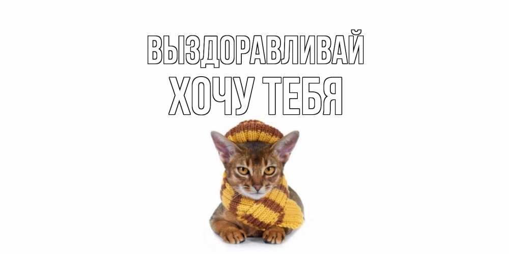 Картинка Выздоравливай, Хочу тебя