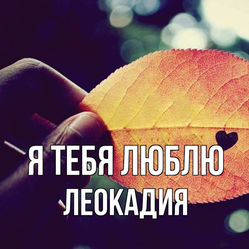 Открытка на каждый день с именем, Леокадия Я тебя люблю держу лист Прикольная открытка с пожеланием онлайн скачать бесплатно 