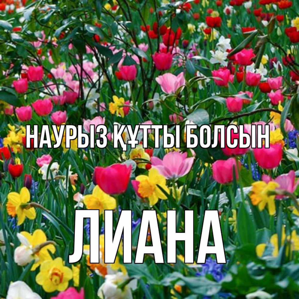Открытка на каждый день с именем, Лиана Наурыз құтты болсын с наурызом поздравления для женщины Прикольная открытка с пожеланием онлайн скачать бесплатно 