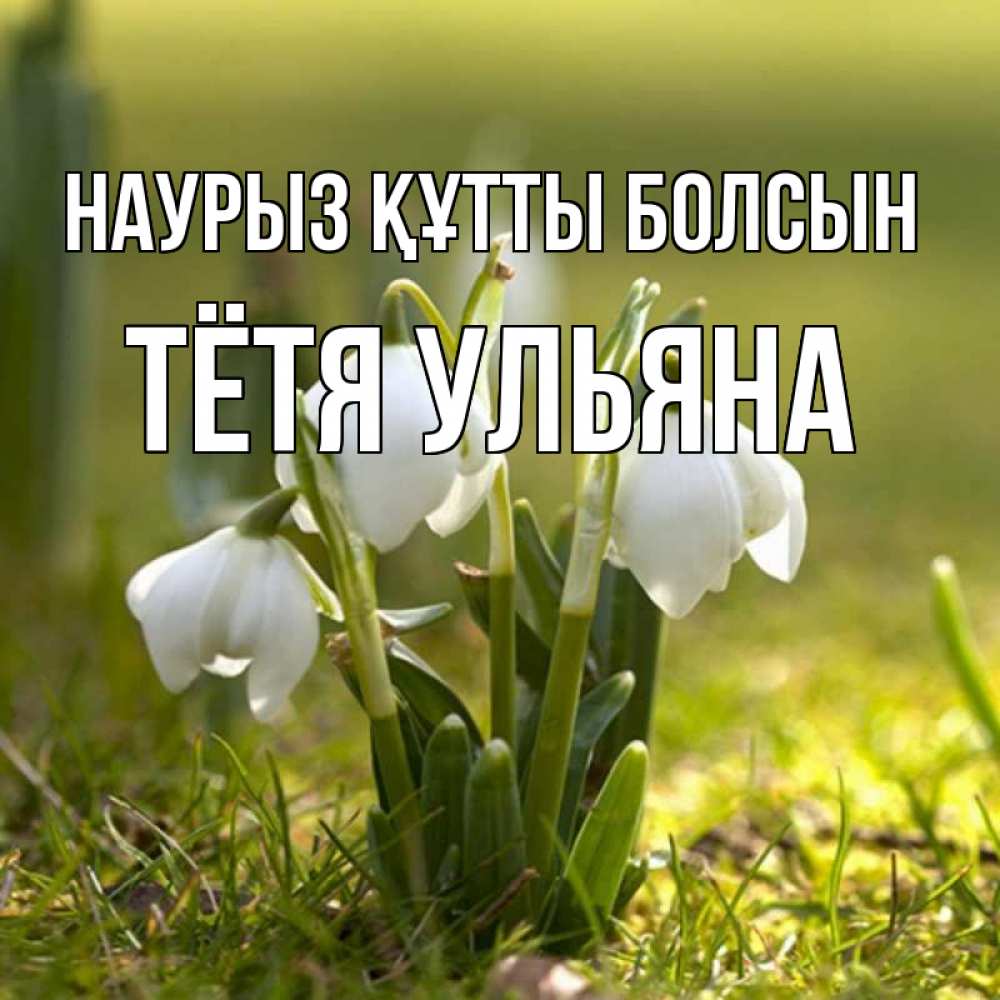 Открытка на каждый день с именем, Тётя-Ульяна Наурыз құтты болсын ранние цветы 2 Прикольная открытка с пожеланием онлайн скачать бесплатно 