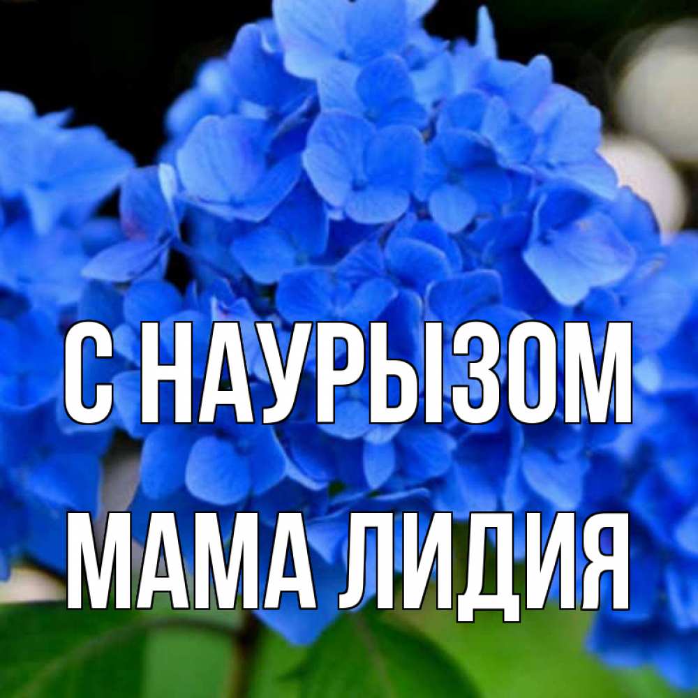 Открытка на каждый день с именем, Мама-Лидия С наурызом синие цветы Прикольная открытка с пожеланием онлайн скачать бесплатно 