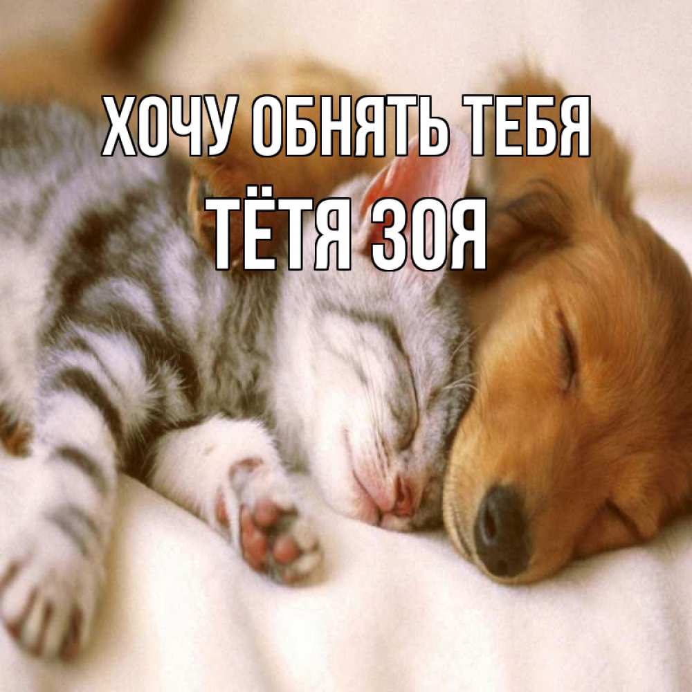 Открытка на каждый день с именем, Тётя-Зоя Хочу обнять тебя пес и котенок Прикольная открытка с пожеланием онлайн скачать бесплатно 