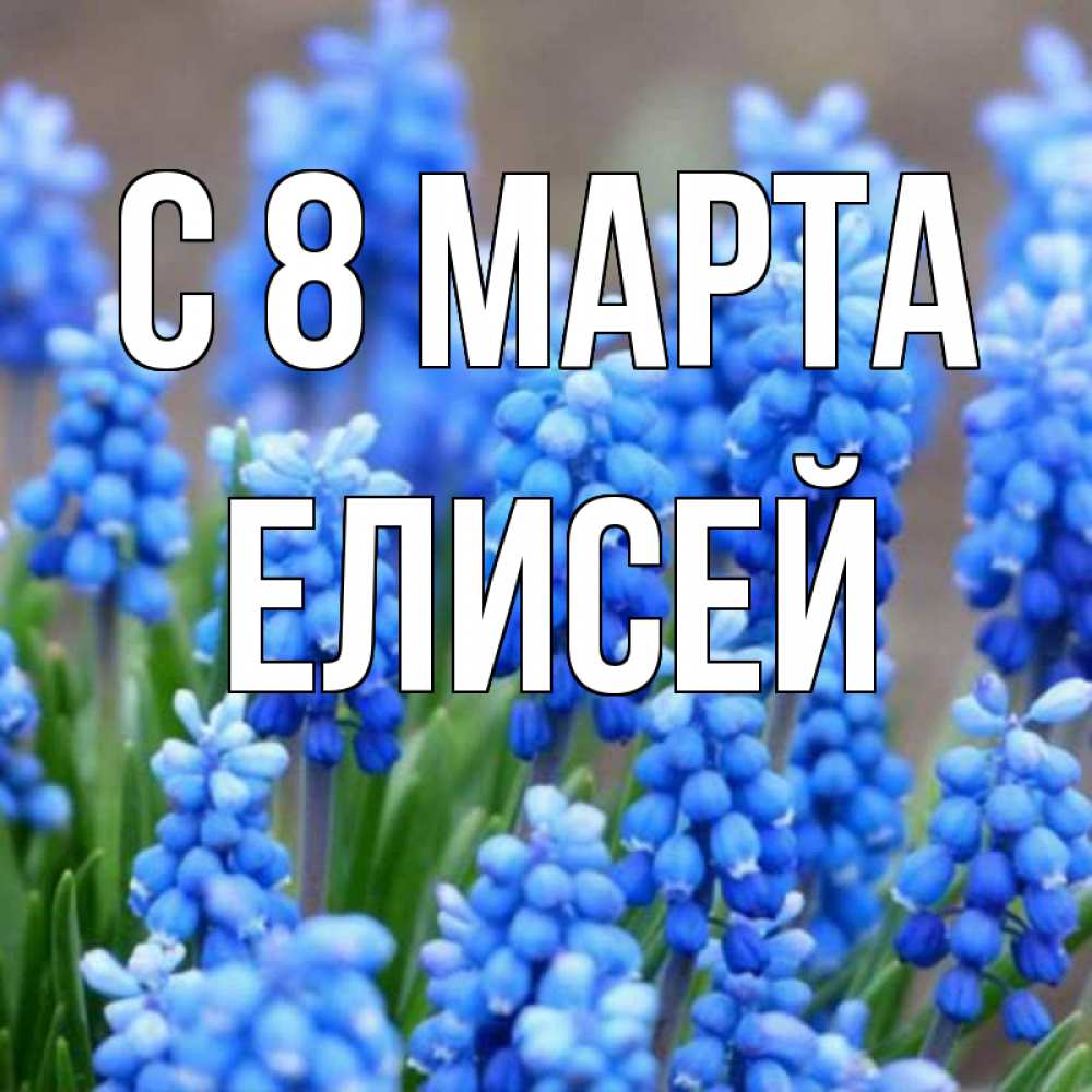 Открытка на каждый день с именем, Елисей С 8 МАРТА Поздравительная открытка для женщин с цветами на праздничную дату Прикольная открытка с пожеланием онлайн скачать бесплатно 