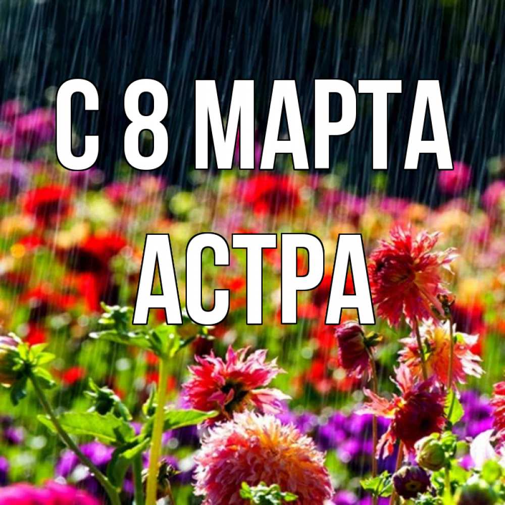 единственная дочь открытка астра на 8 марта цвет