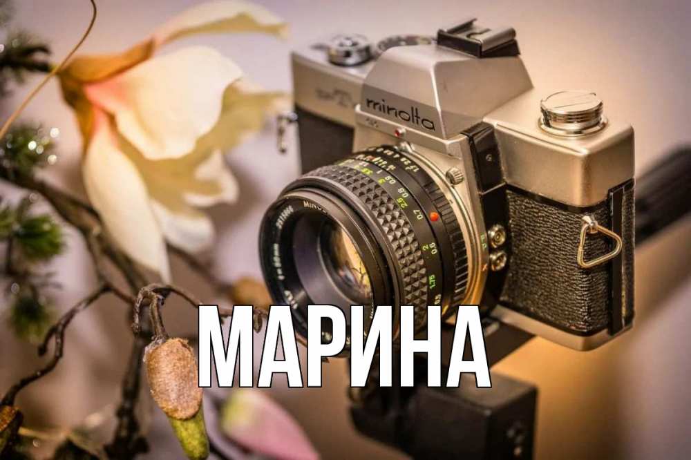 Открытка на каждый день с именем, Марина Главная с днем фотографа 1 Прикольная открытка с пожеланием онлайн скачать бесплатно 
