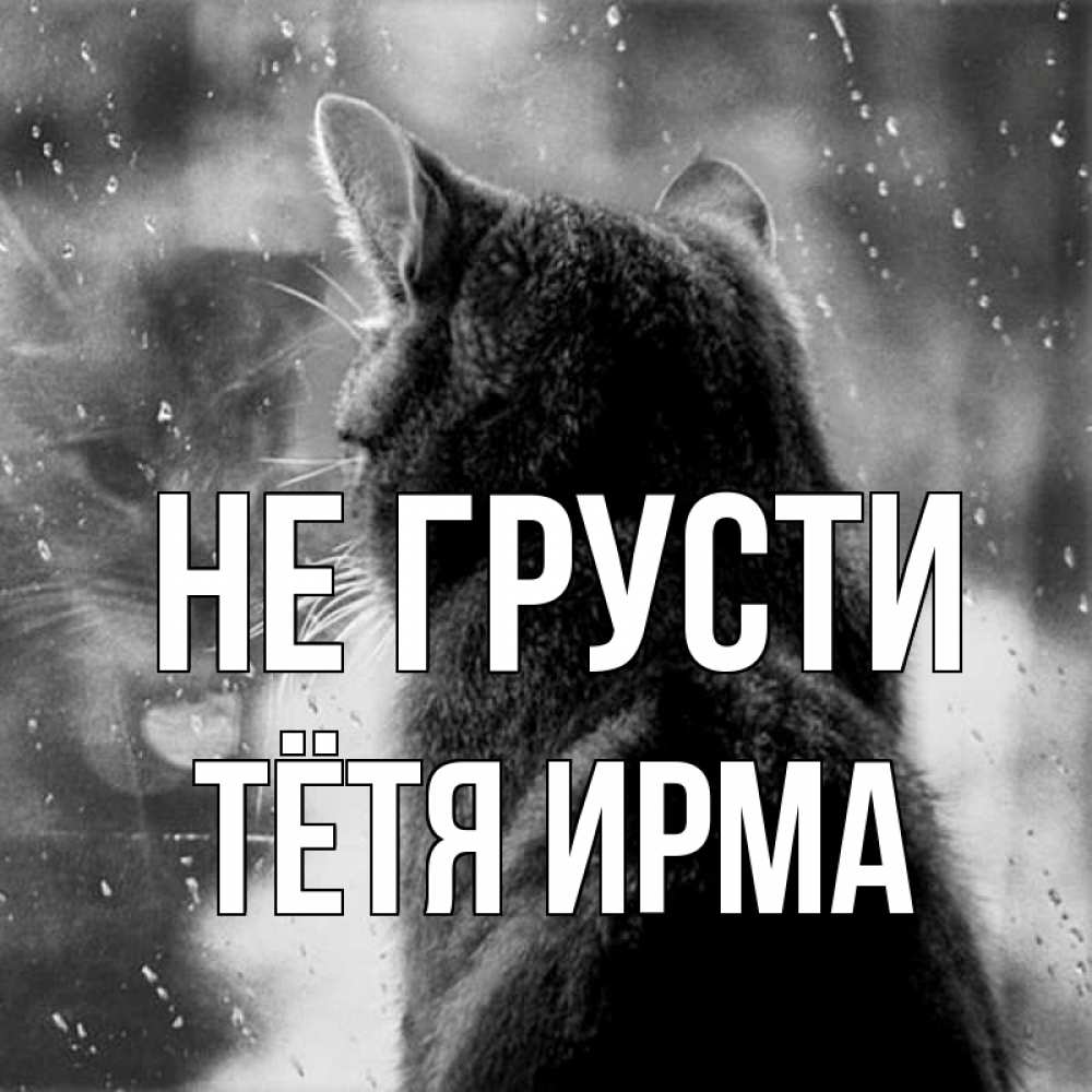 Открытка на каждый день с именем, Тётя-Ирма Не грусти отражение кота 1 Прикольная открытка с пожеланием онлайн скачать бесплатно 