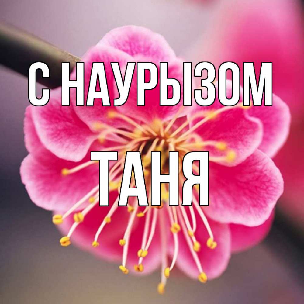 Картинка С наурызом, Таня
