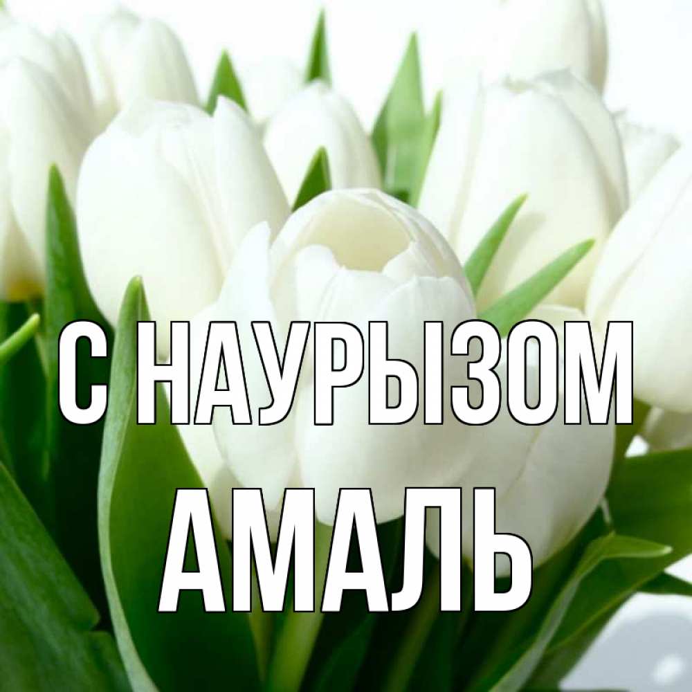 Открытка на каждый день с именем, Амаль С наурызом цветы Прикольная открытка с пожеланием онлайн скачать бесплатно 