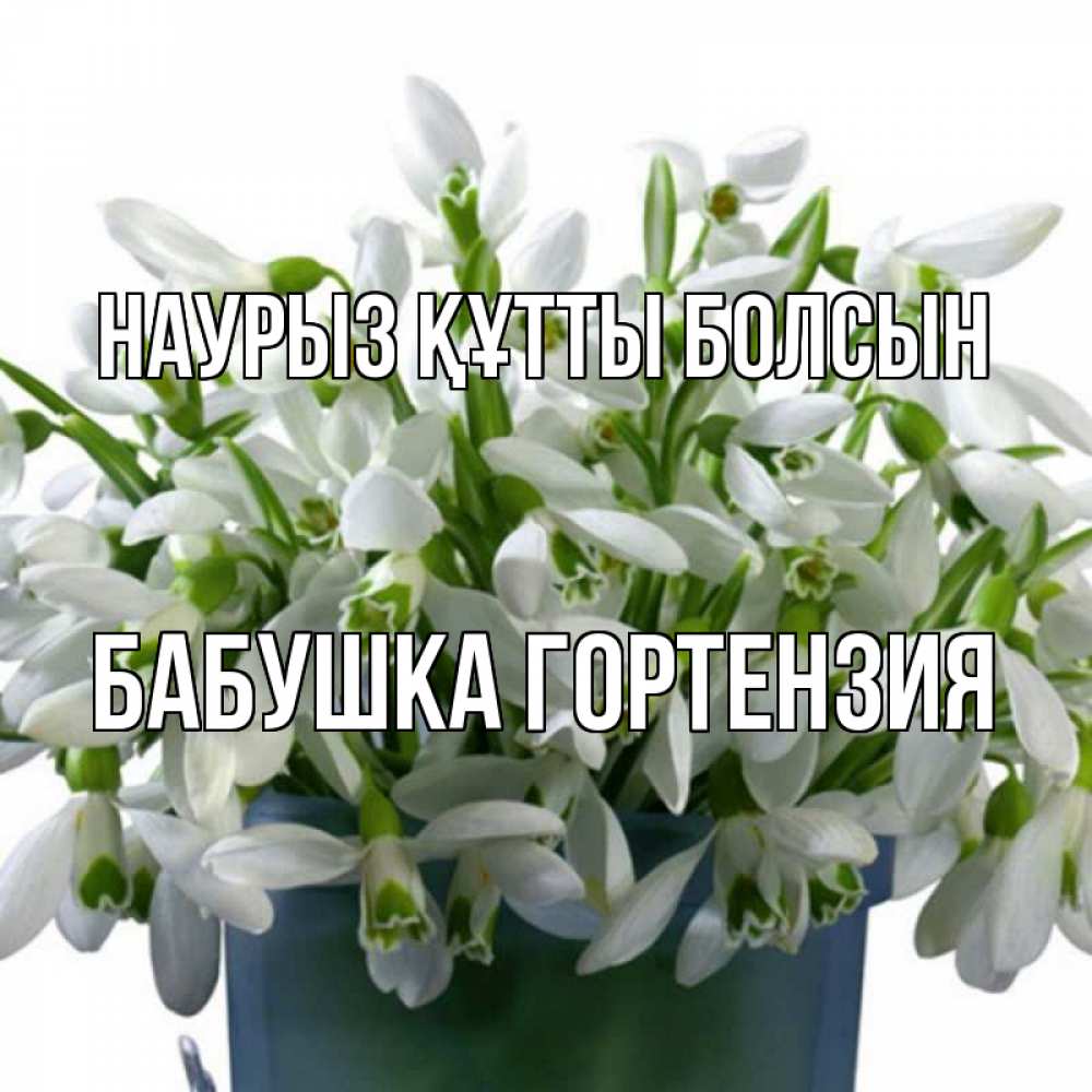 Открытка на каждый день с именем, Бабушка-Гортензия Наурыз құтты болсын цветы к наурызу Прикольная открытка с пожеланием онлайн скачать бесплатно 
