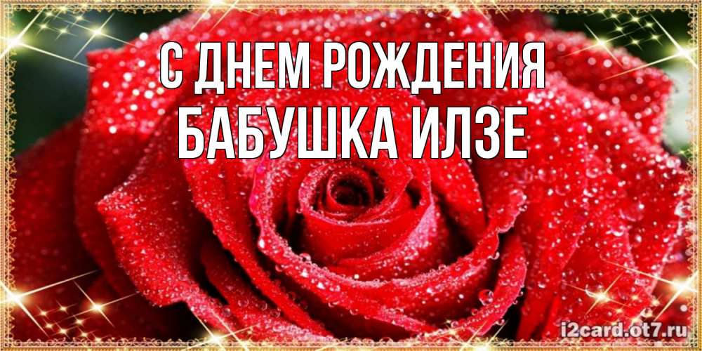Открытка на каждый день с именем, Бабушка-Илзе С днем рождения роса и роза. открытка с красивой розой Прикольная открытка с пожеланием онлайн скачать бесплатно 