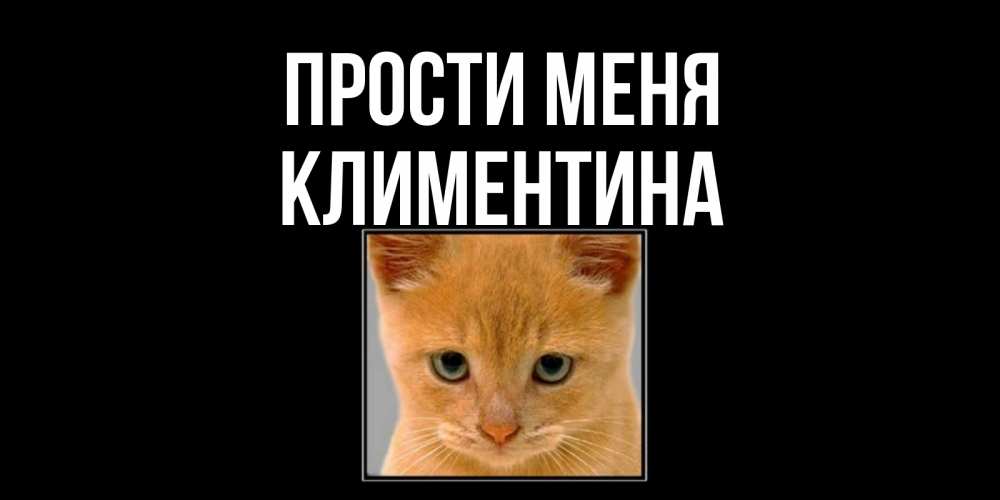 Открытка на каждый день с именем, Климентина Прости меня рыжий грустный кот просит прощения Прикольная открытка с пожеланием онлайн скачать бесплатно 