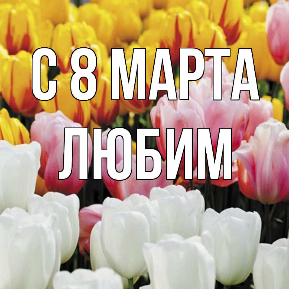 Открытка на каждый день с именем, Любим С 8 МАРТА разноцветные цветы Прикольная открытка с пожеланием онлайн скачать бесплатно 