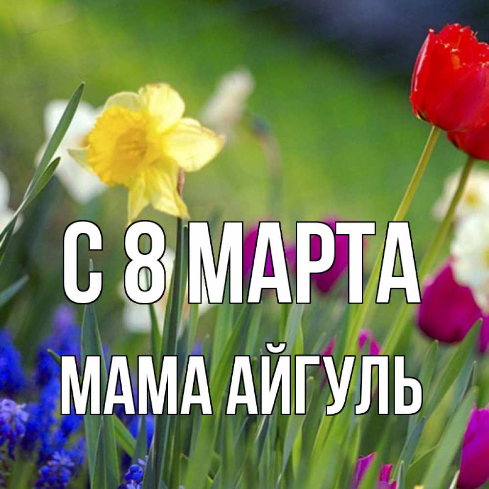 Открытка на каждый день с именем, Мама-Айгуль С 8 МАРТА международный женский день 3 Прикольная открытка с пожеланием онлайн скачать бесплатно 