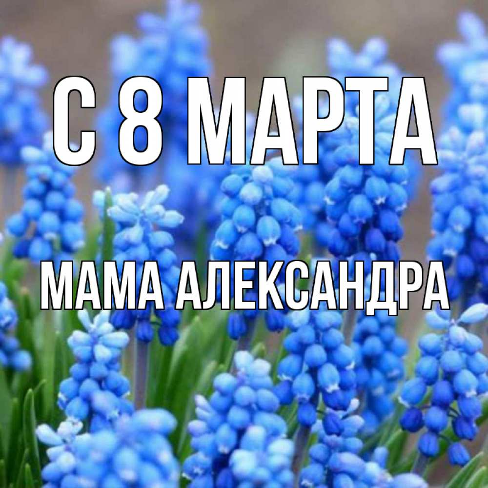 Открытка на каждый день с именем, Мама-Александра С 8 МАРТА Поздравительная открытка для женщин с цветами на праздничную дату Прикольная открытка с пожеланием онлайн скачать бесплатно 