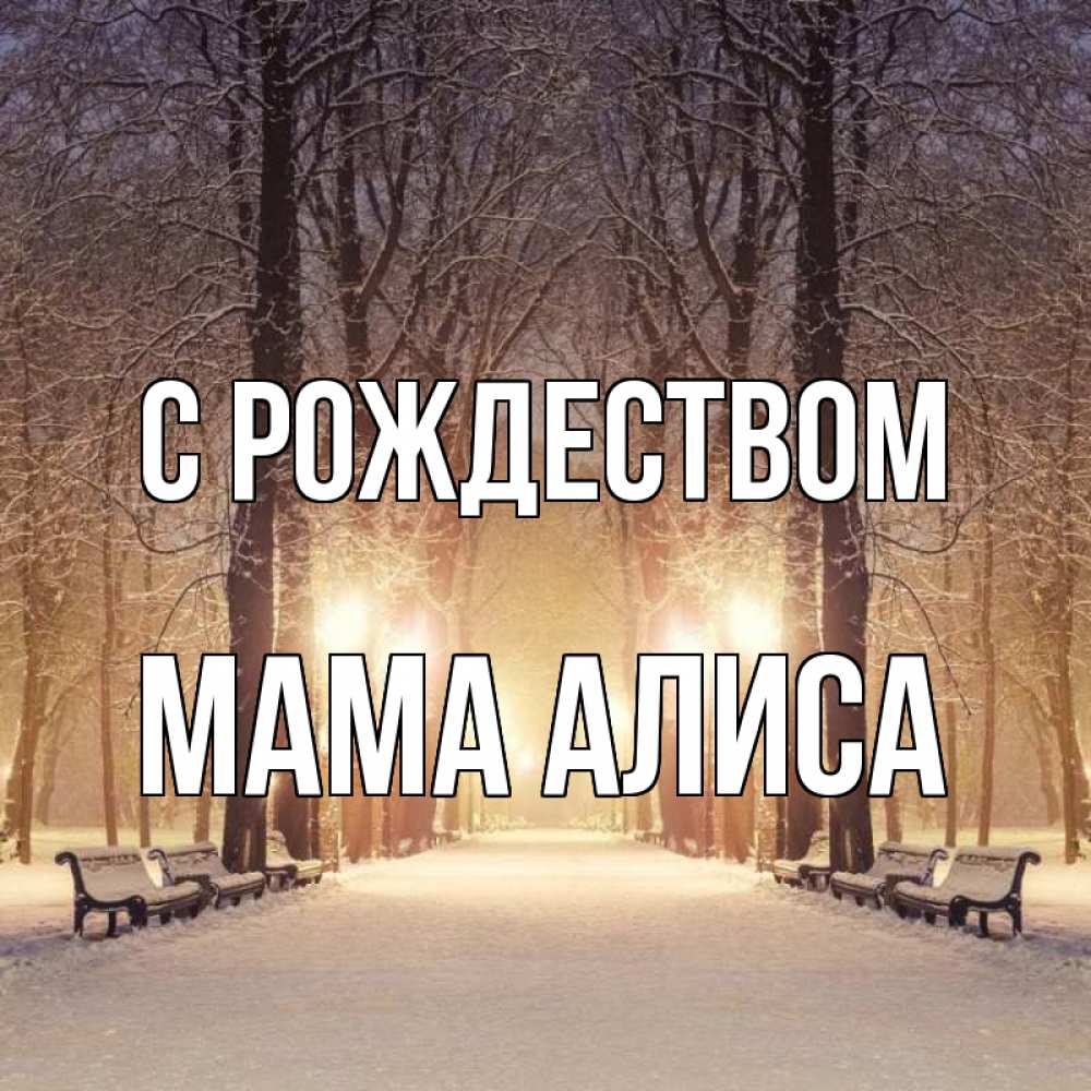 Открытка на каждый день с именем, Мама-Алиса С рождеством зима, парк, фонарь, лес Прикольная открытка с пожеланием онлайн скачать бесплатно 