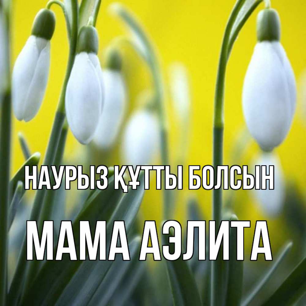 Открытка на каждый день с именем, Мама-Аэлита Наурыз құтты болсын весенние цветы Прикольная открытка с пожеланием онлайн скачать бесплатно 