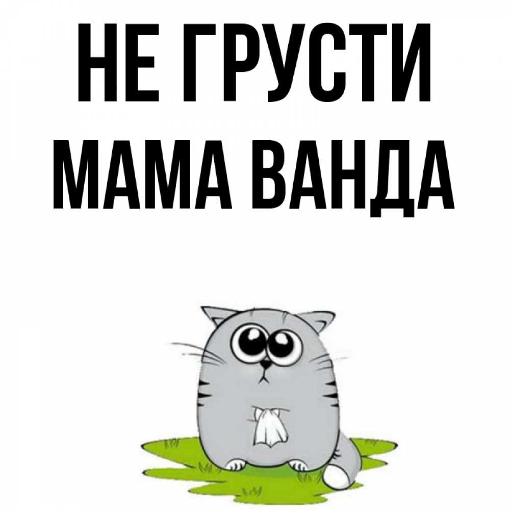 Открытка на каждый день с именем, Мама-Ванда Не грусти грустный котяра Прикольная открытка с пожеланием онлайн скачать бесплатно 