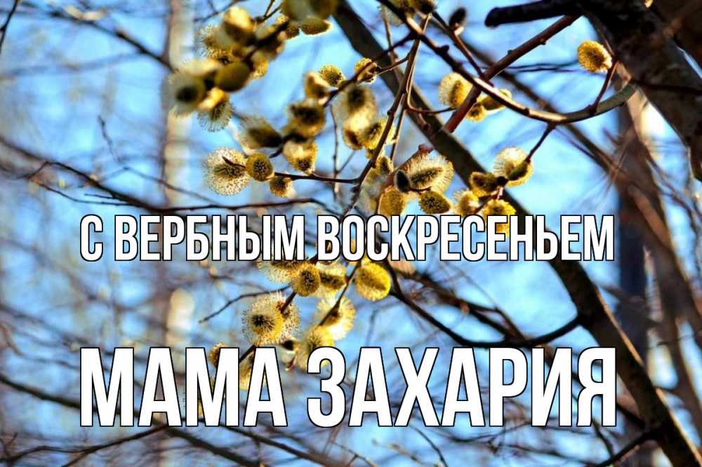 Открытка на каждый день с именем, Мама-Захария С вербным воскресеньем верба Прикольная открытка с пожеланием онлайн скачать бесплатно 