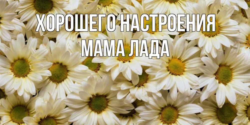 Открытка на каждый день с именем, Мама-Лада Хорошего настроения крупные ромашки Прикольная открытка с пожеланием онлайн скачать бесплатно 