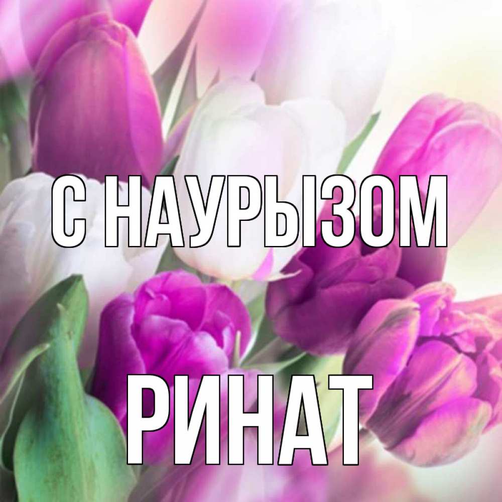 Открытка на каждый день с именем, Ринат С наурызом весна 1 Прикольная открытка с пожеланием онлайн скачать бесплатно 