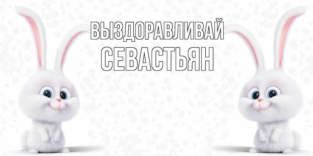 Открытка на каждый день с именем, Севастьян Выздоравливай не болей с зайцем Прикольная открытка с пожеланием онлайн скачать бесплатно 