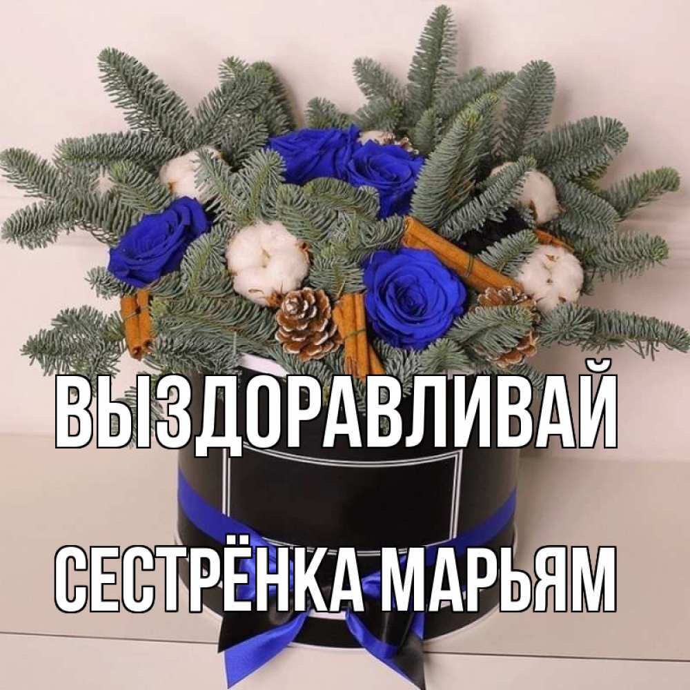 Открытка на каждый день с именем, Сестрёнка-Марьям Выздоравливай короче кто то загрузил эти шишки Прикольная открытка с пожеланием онлайн скачать бесплатно 