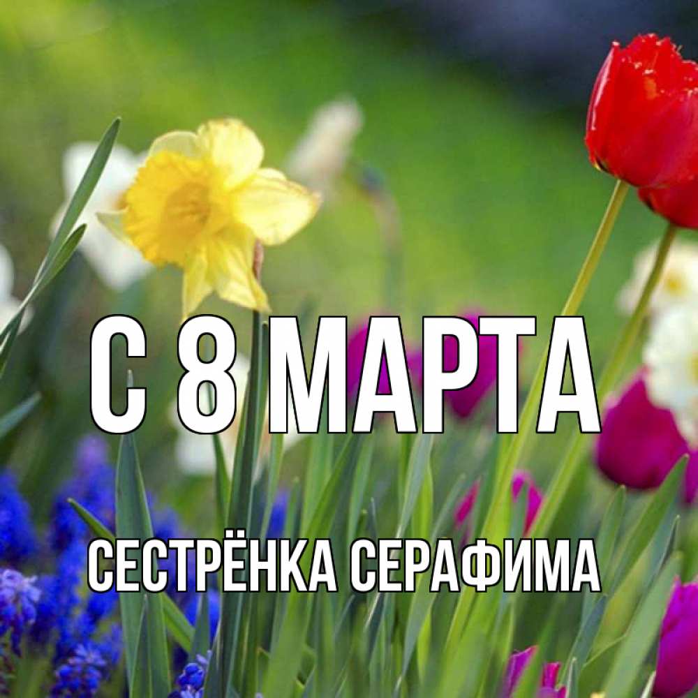 Открытка на каждый день с именем, Сестрёнка-Серафима С 8 МАРТА международный женский день 3 Прикольная открытка с пожеланием онлайн скачать бесплатно 