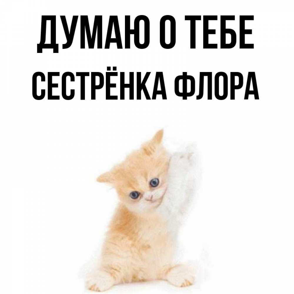 Открытка на каждый день с именем, Сестрёнка-Флора Думаю о тебе зверушки и милота Прикольная открытка с пожеланием онлайн скачать бесплатно 