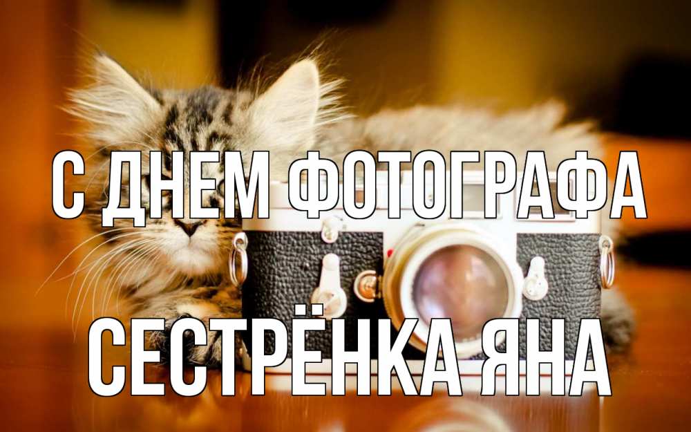 Открытка на каждый день с именем, Сестрёнка-Яна С днем фотографа с днем фотографа Прикольная открытка с пожеланием онлайн скачать бесплатно 