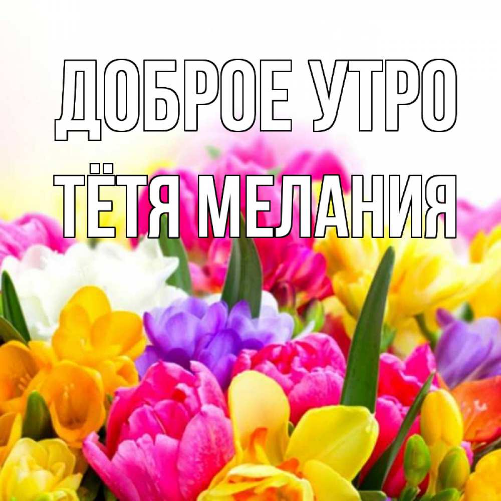 Открытка на каждый день с именем, Тётя-Мелания Доброе утро создать открытку со свое подписью Прикольная открытка с пожеланием онлайн скачать бесплатно 