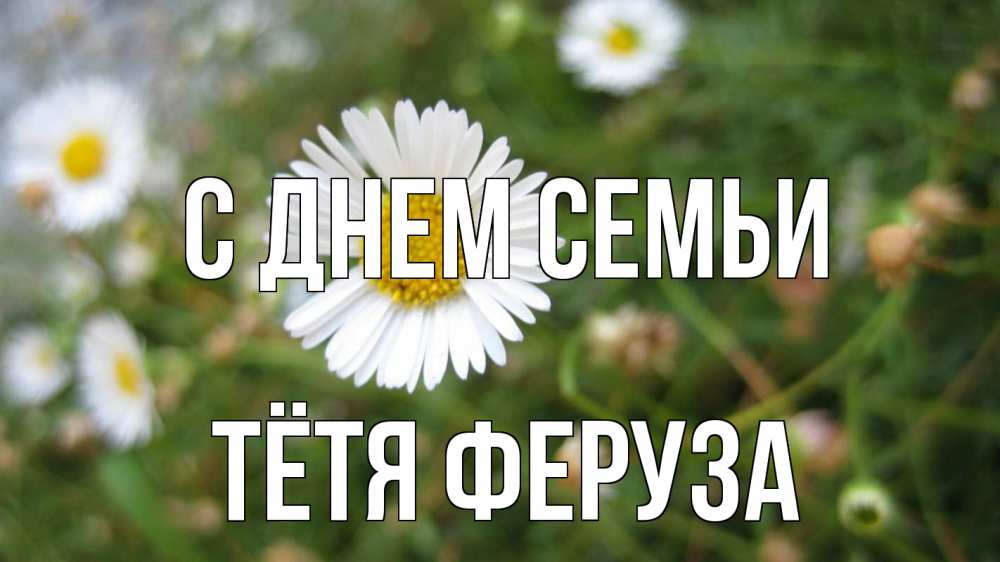 Открытка на каждый день с именем, Тётя-Феруза С днем семьи с днем семьи Прикольная открытка с пожеланием онлайн скачать бесплатно 