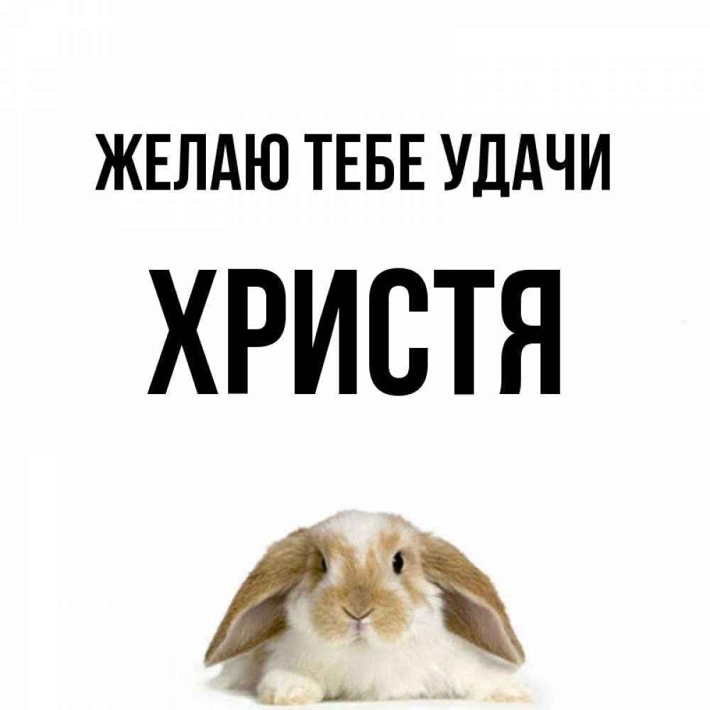 Открытка на каждый день с именем, Христя Желаю тебе удачи открытки с произвольным текстом который можно вставить в открытку и создать ее самостоятельно бесплатно онлайн Прикольная открытка с пожеланием онлайн скачать бесплатно 