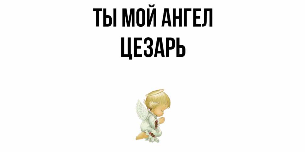 Открытка на каждый день с именем, Цезарь Ты мой ангел ангел Прикольная открытка с пожеланием онлайн скачать бесплатно 