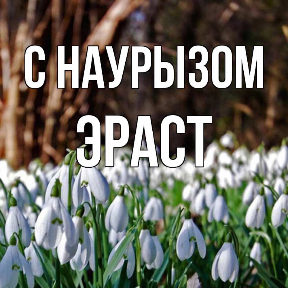 Открытка на каждый день с именем, Эраст С наурызом с подснежниками 1 Прикольная открытка с пожеланием онлайн скачать бесплатно 
