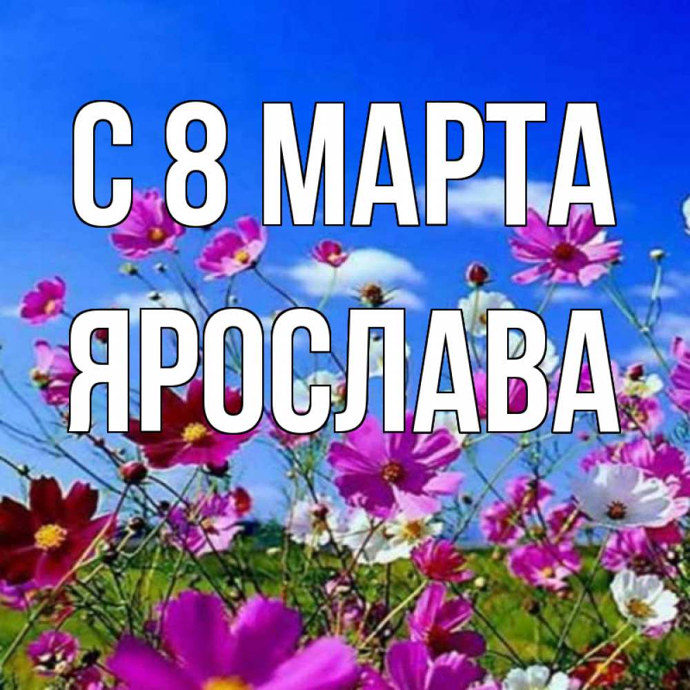 Картинка С 8 МАРТА, Ярослава