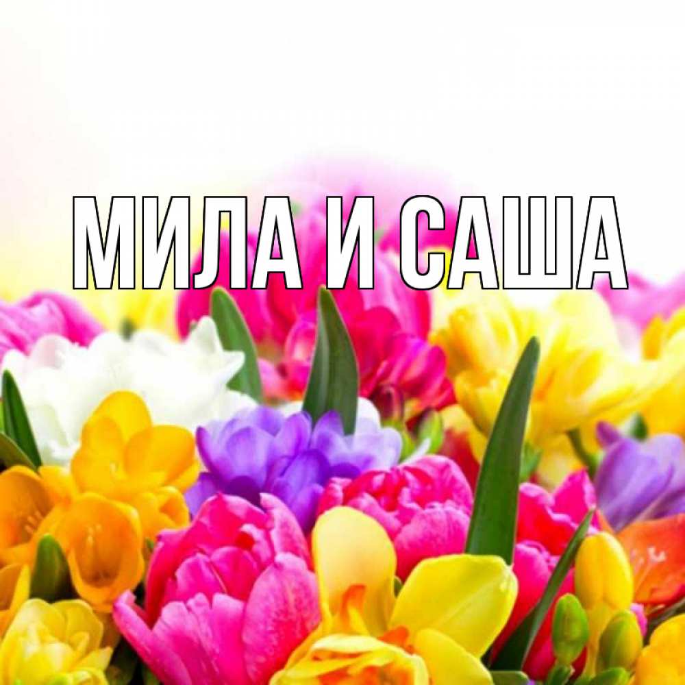 разберемся, как мила и саша картинки лишь
