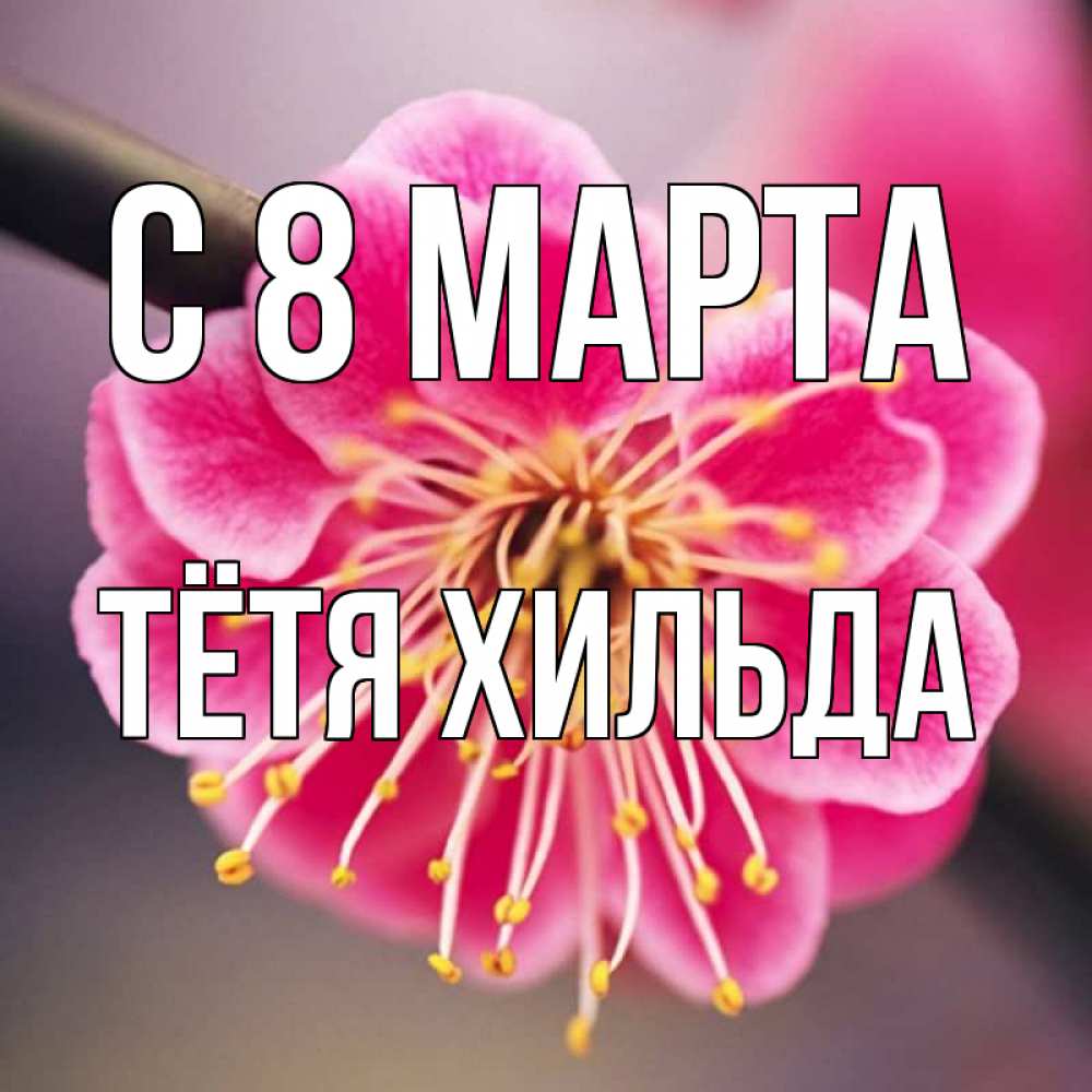 Открытка на каждый день с именем, Тётя-Хильда С 8 МАРТА цветы Прикольная открытка с пожеланием онлайн скачать бесплатно 