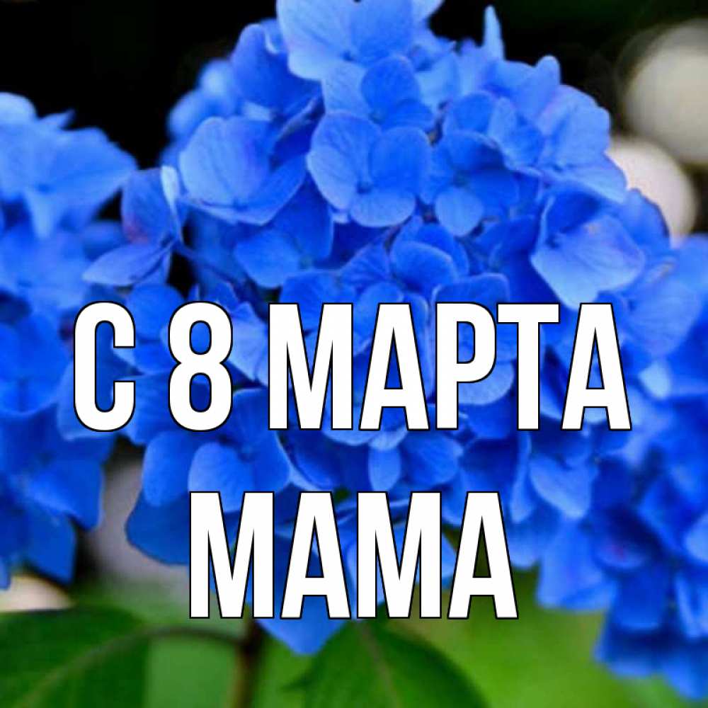 Mama c