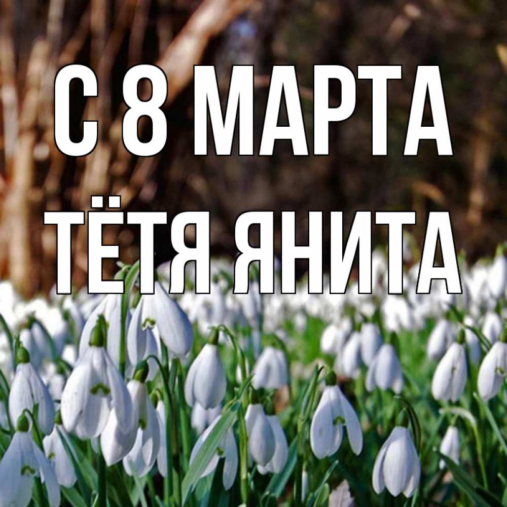 Открытка на каждый день с именем, Тётя-Янита С 8 марта с подснежниками 1 Прикольная открытка с пожеланием онлайн скачать бесплатно 