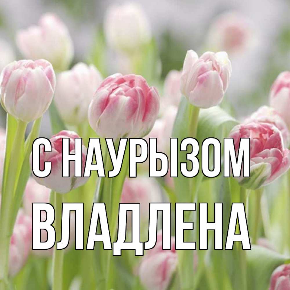 Открытка на каждый день с именем, Владлена С наурызом цветы Прикольная открытка с пожеланием онлайн скачать бесплатно 