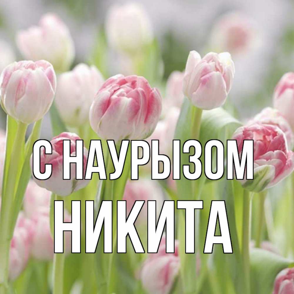 Открытка на каждый день с именем, Никита С наурызом цветы Прикольная открытка с пожеланием онлайн скачать бесплатно 