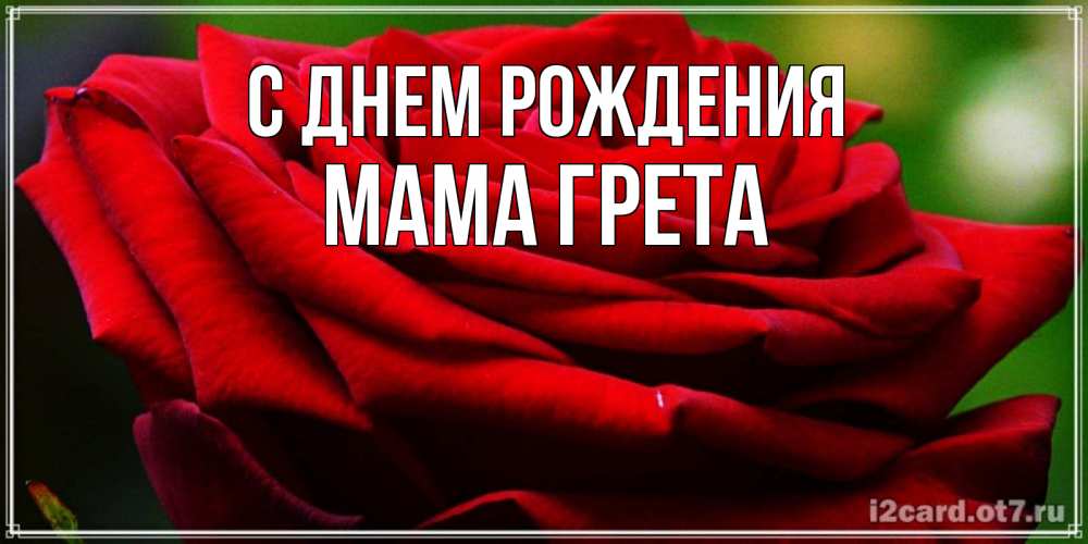Открытка на каждый день с именем, Мама-Грета С днем рождения розочка очень красивая Прикольная открытка с пожеланием онлайн скачать бесплатно 