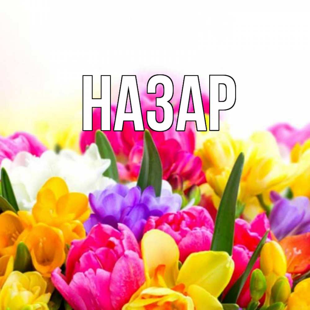 Открытка на каждый день с именем, Назар Главная создать открытку со свое подписью Прикольная открытка с пожеланием онлайн скачать бесплатно 