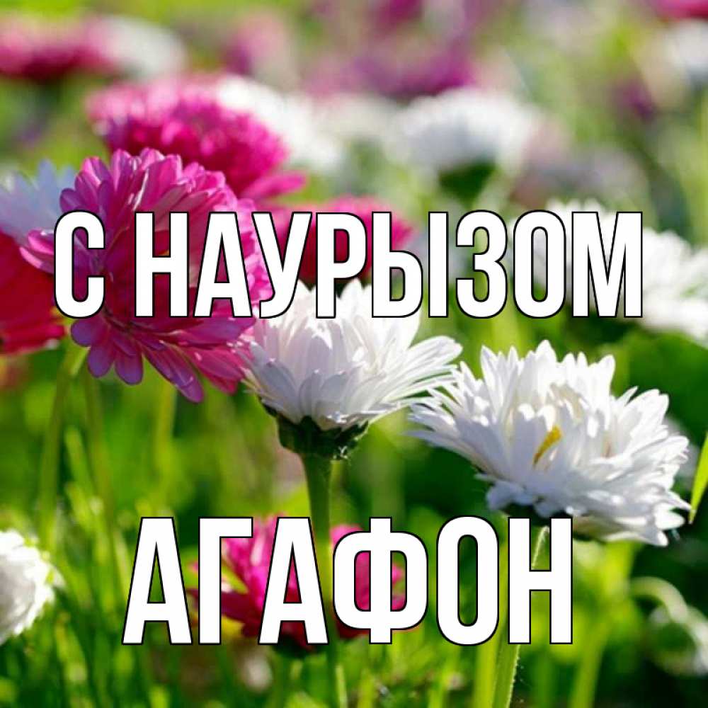 Открытка на каждый день с именем, Агафон С наурызом праздник весны наурыз красота Прикольная открытка с пожеланием онлайн скачать бесплатно 