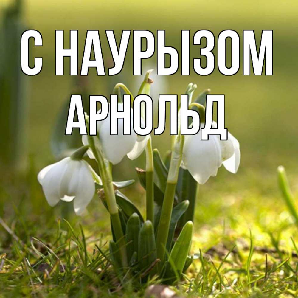 Открытка на каждый день с именем, Арнольд С наурызом ранние цветы 2 Прикольная открытка с пожеланием онлайн скачать бесплатно 