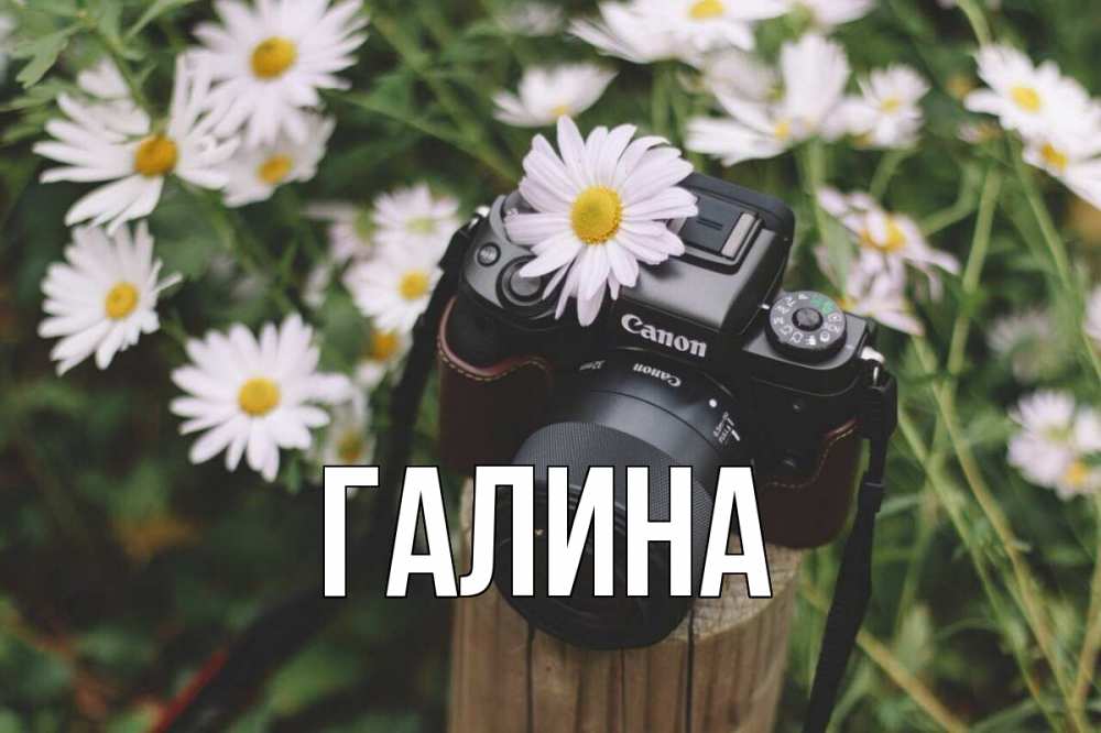 Открытка на каждый день с именем, Галина Главная с днем фотографа Прикольная открытка с пожеланием онлайн скачать бесплатно 